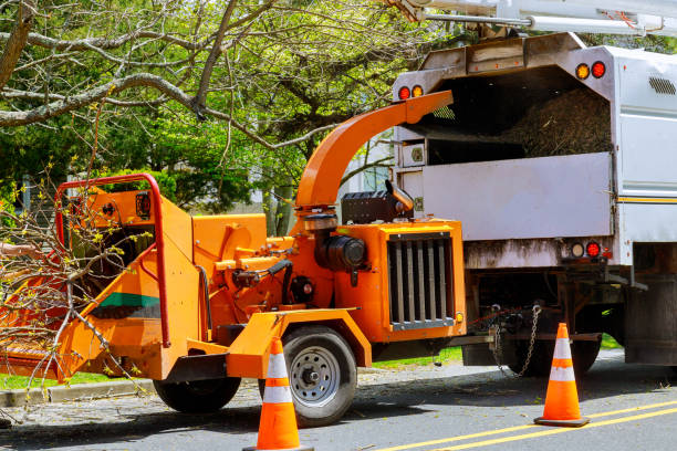 Mulching Services in Wales, WI